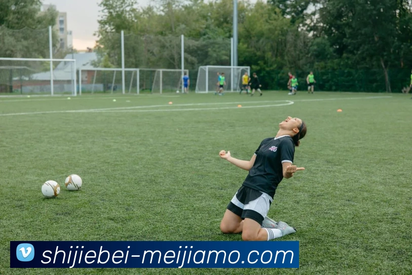 世界杯买球平台生态图