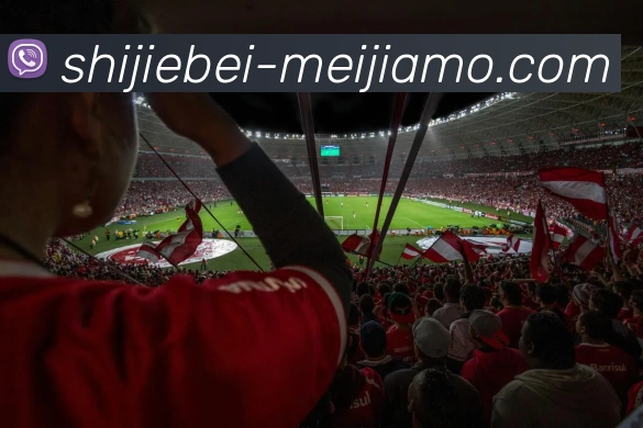 世界杯买球APP 封面图